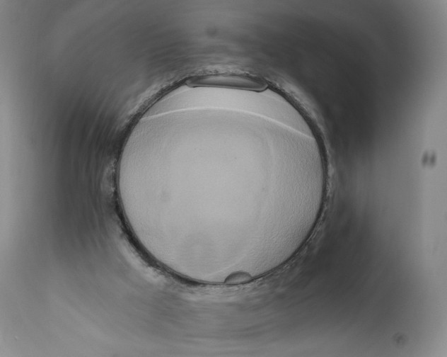 X0000111020009200907101351