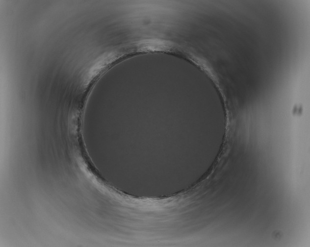X0000111020010200907101351