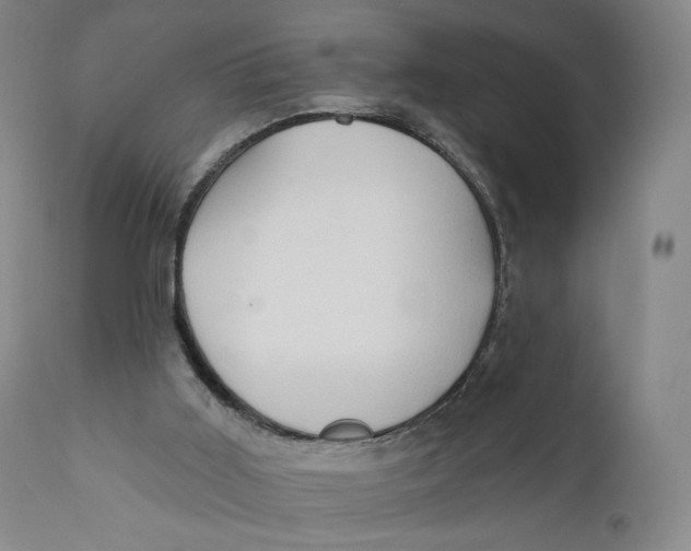 X0000111020011200907101351