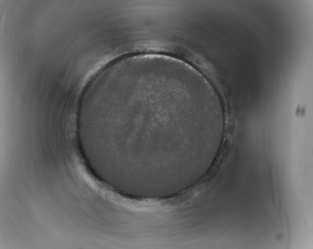 X0000111020012200907101351