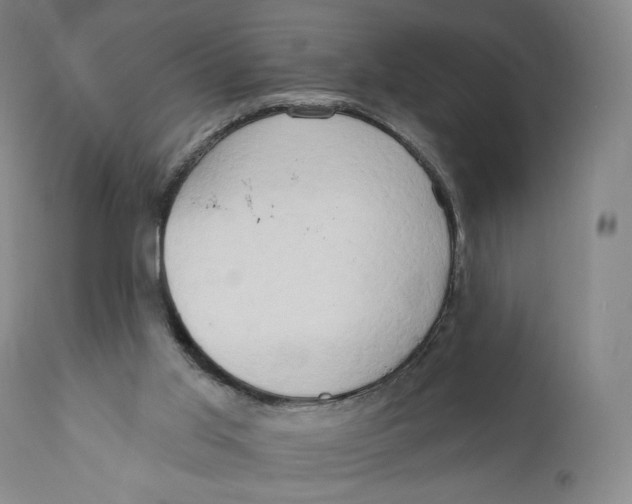 X0000111020013200907101351