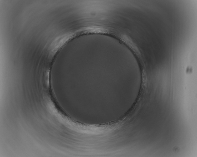 X0000111020014200907101351