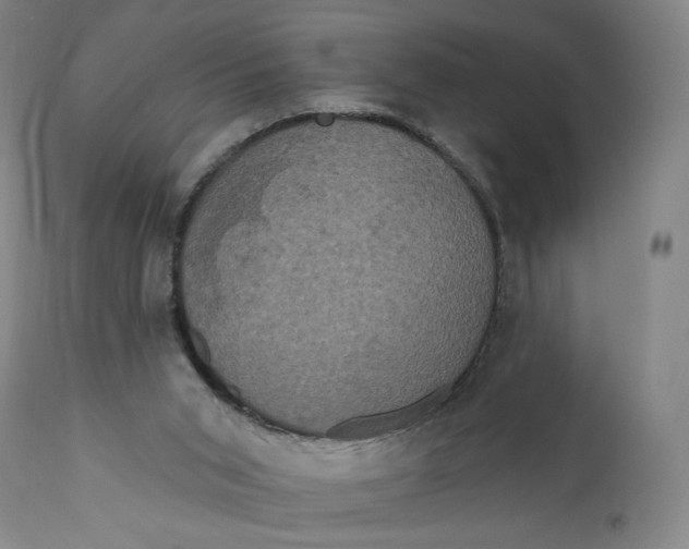 X0000111020015200907101351