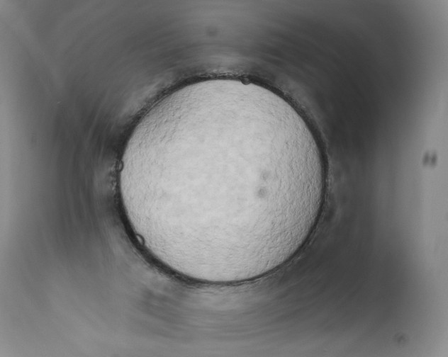 X0000111020017200907101351