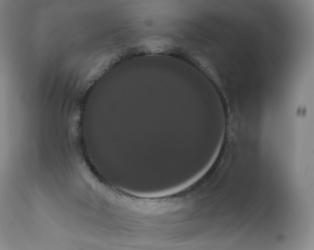 X0000111020018200907101351