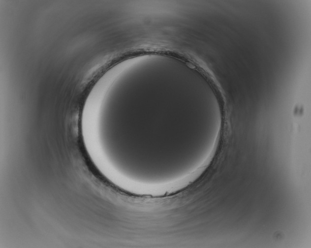 X0000111020019200907101351