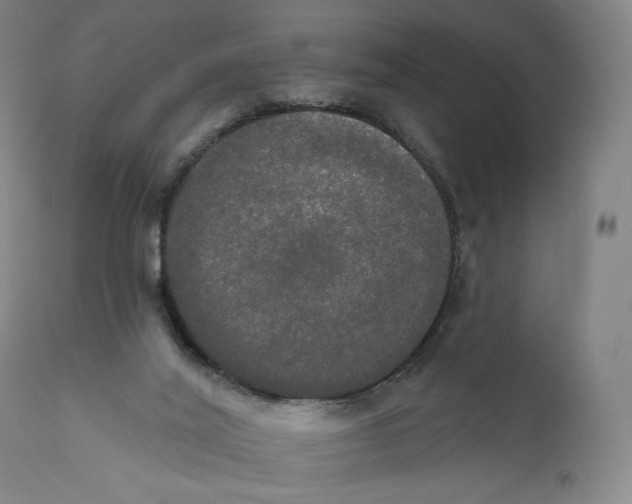 X0000111020020200907101351