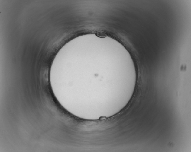 X0000111020021200907101351