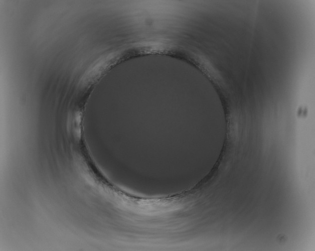 X0000111020022200907101351