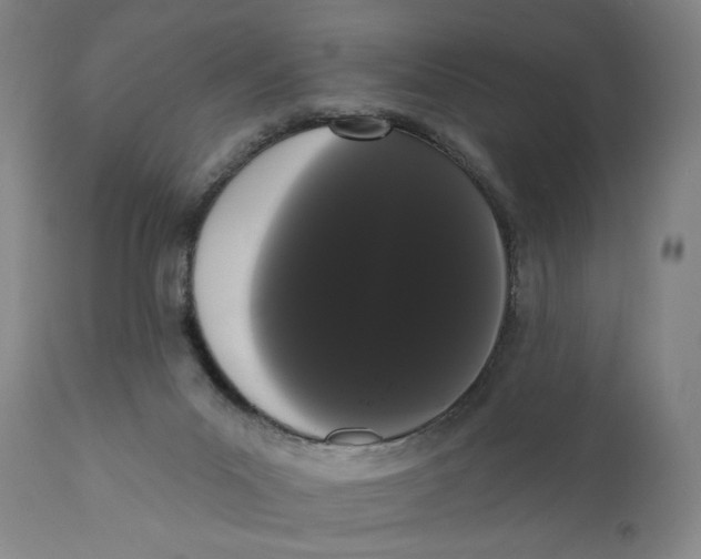 X0000111020023200907101350