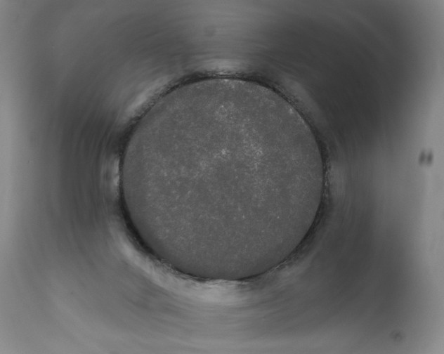 X0000111020024200907101350