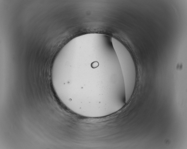 X0000111020025200907101350