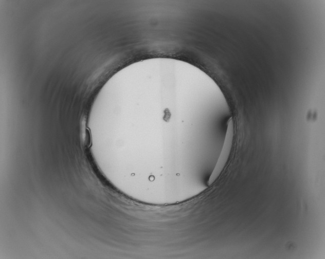 X0000111020027200907101350