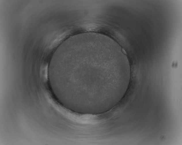 X0000111020028200907101350