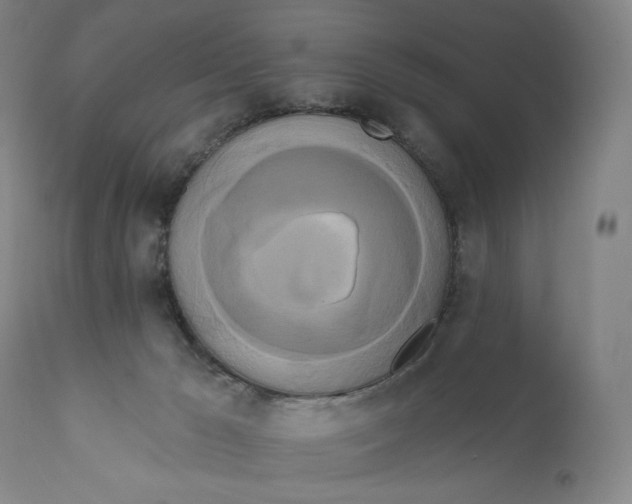 X0000111020029200907101350