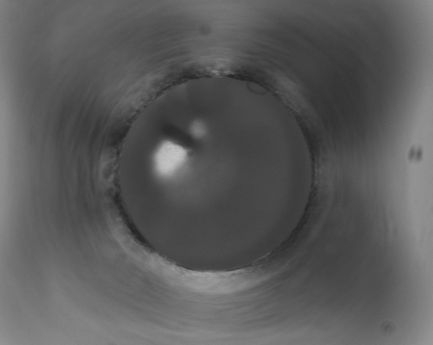X0000111020030200907101350