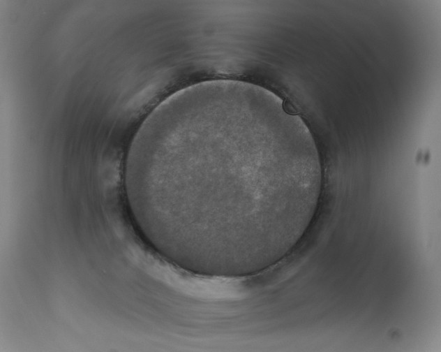 X0000111020032200907101350