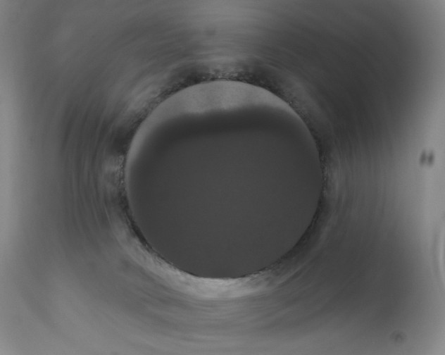X0000111020034200907101350