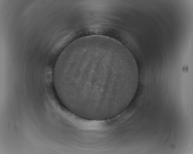 X0000111020036200907101350