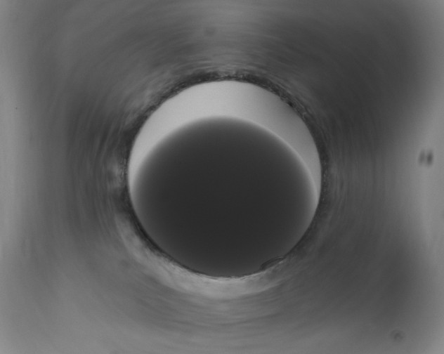X0000111020039200907101350