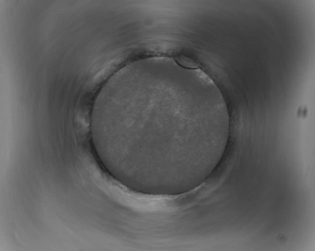 X0000111020040200907101350