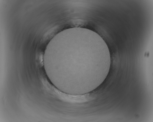 X0000111020042200907101350