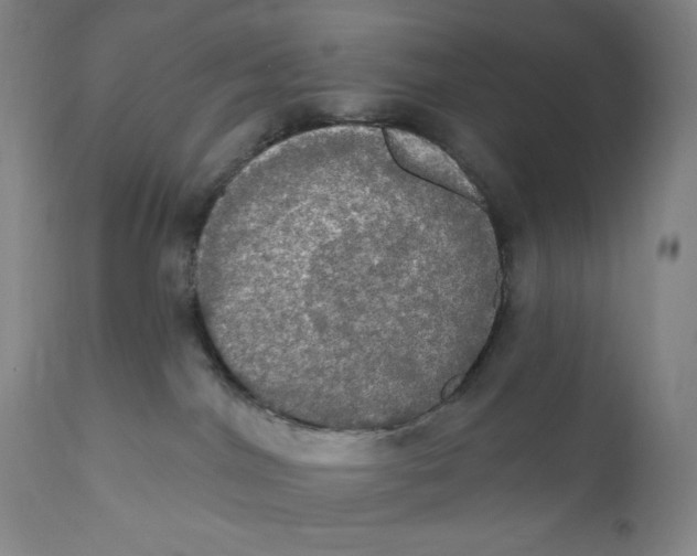 X0000111020044200907101350