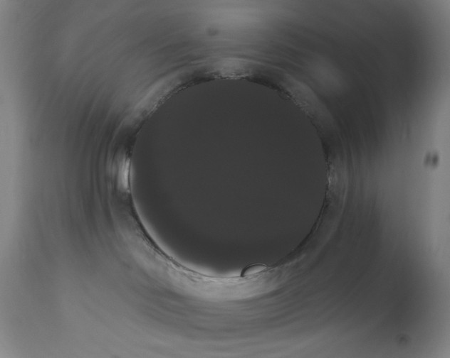 X0000111020046200907101350