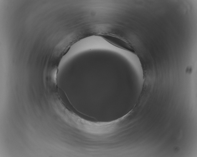 X0000111020047200907101350