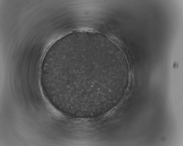 X0000111020049200907101349