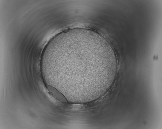 X0000111020050200907101349