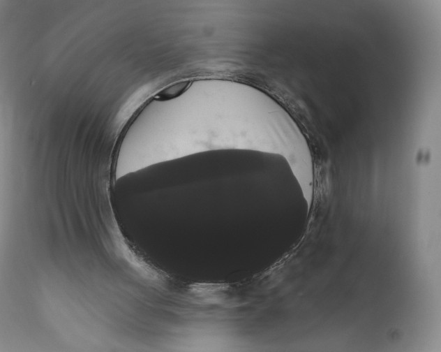 X0000111020051200907101350
