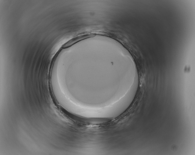 X0000111020052200907101350