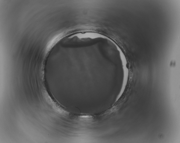 X0000111020053200907101350