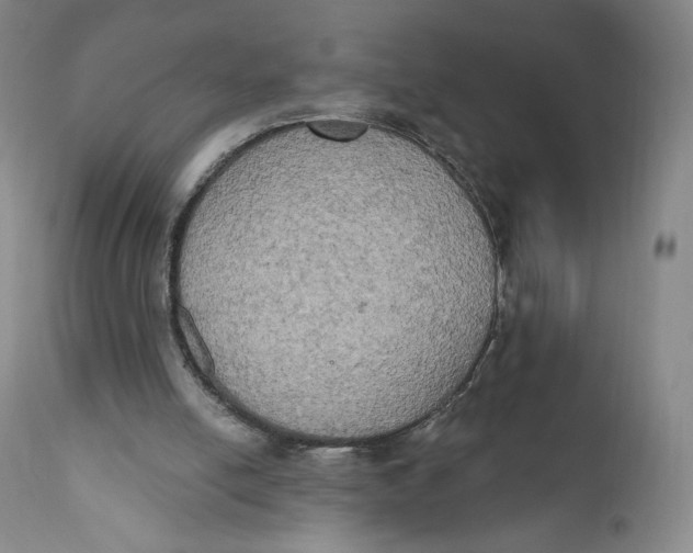 X0000111020054200907101350