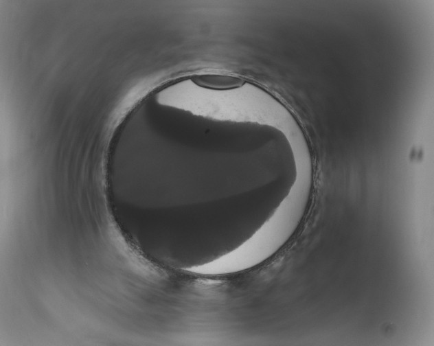 X0000111020055200907101350