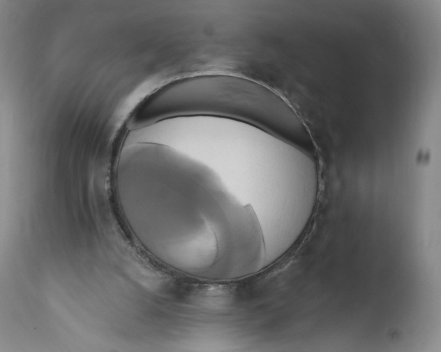 X0000111020056200907101350