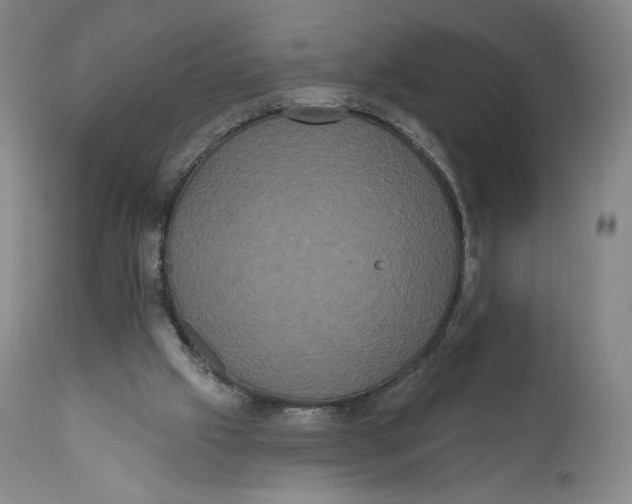 X0000111020057200907101350