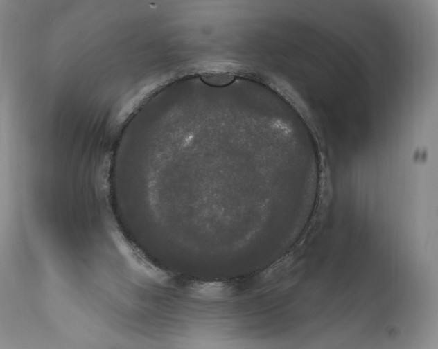 X0000111020058200907101350