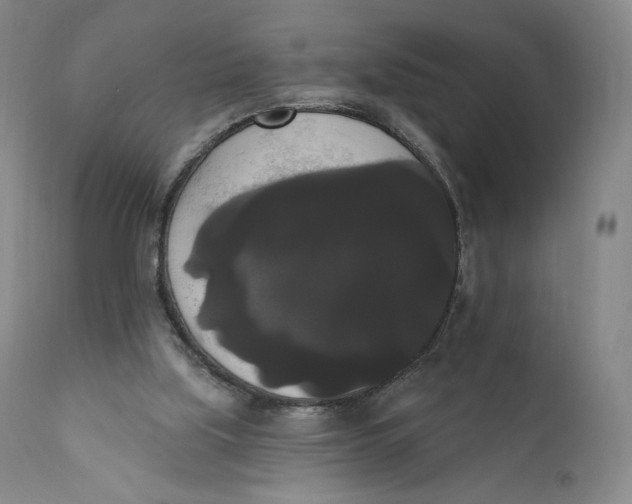 X0000111020059200907101350