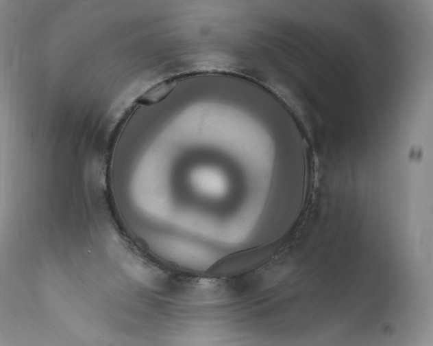 X0000111020060200907101350
