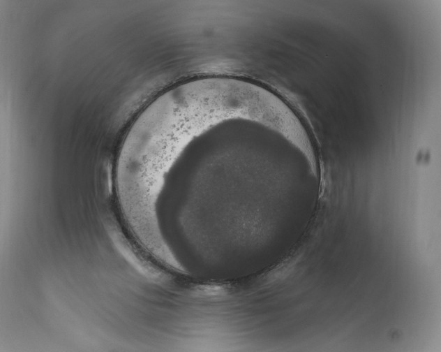 X0000111020061200907101350
