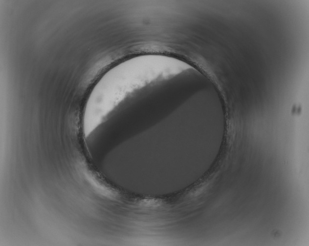 X0000111020063200907101350
