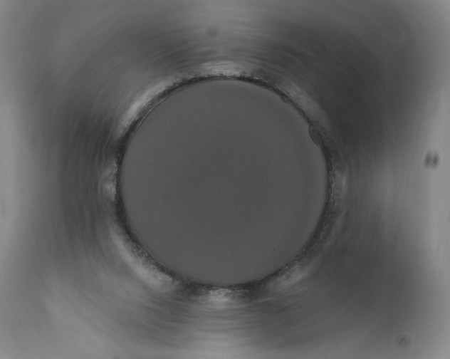 X0000111020064200907101350