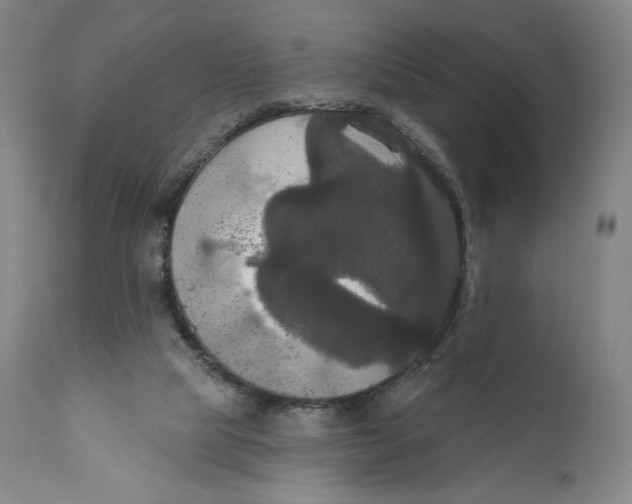 X0000111020065200907101350