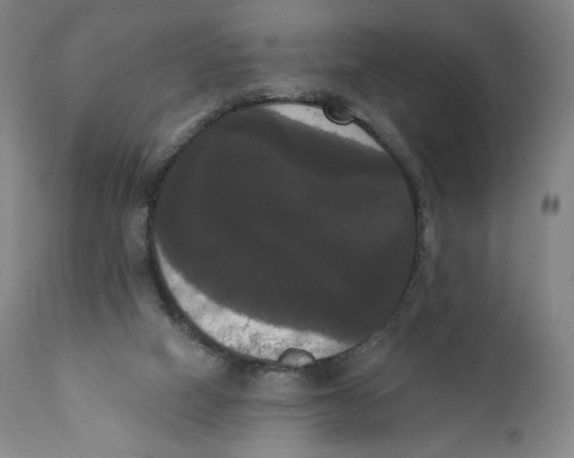 X0000111020066200907101350