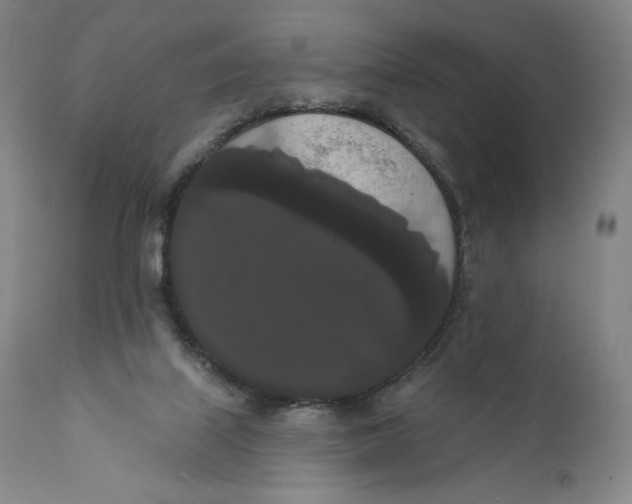 X0000111020067200907101350