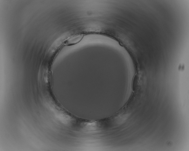 X0000111020068200907101350