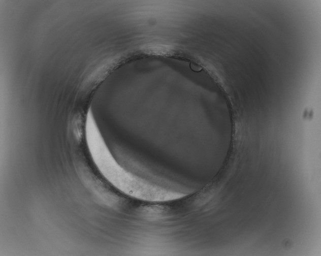 X0000111020069200907101350
