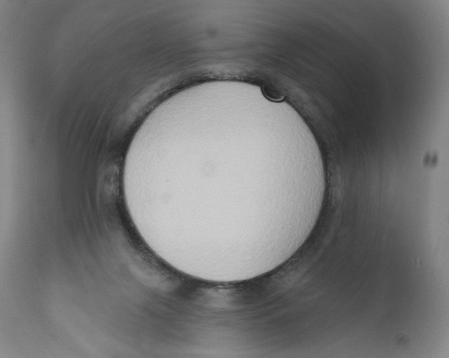 X0000111020071200907101350